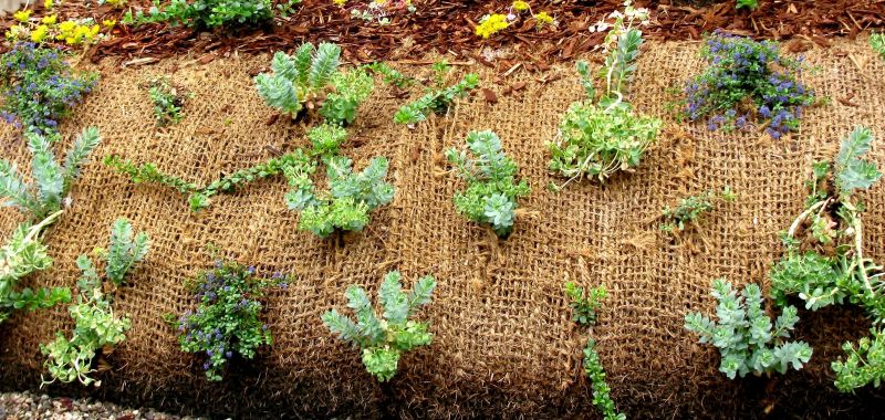 Soil Stabilization Techniques