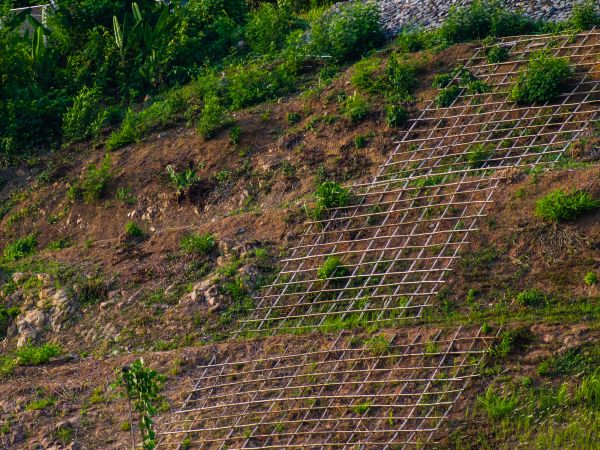 Backyard Erosion Prevention